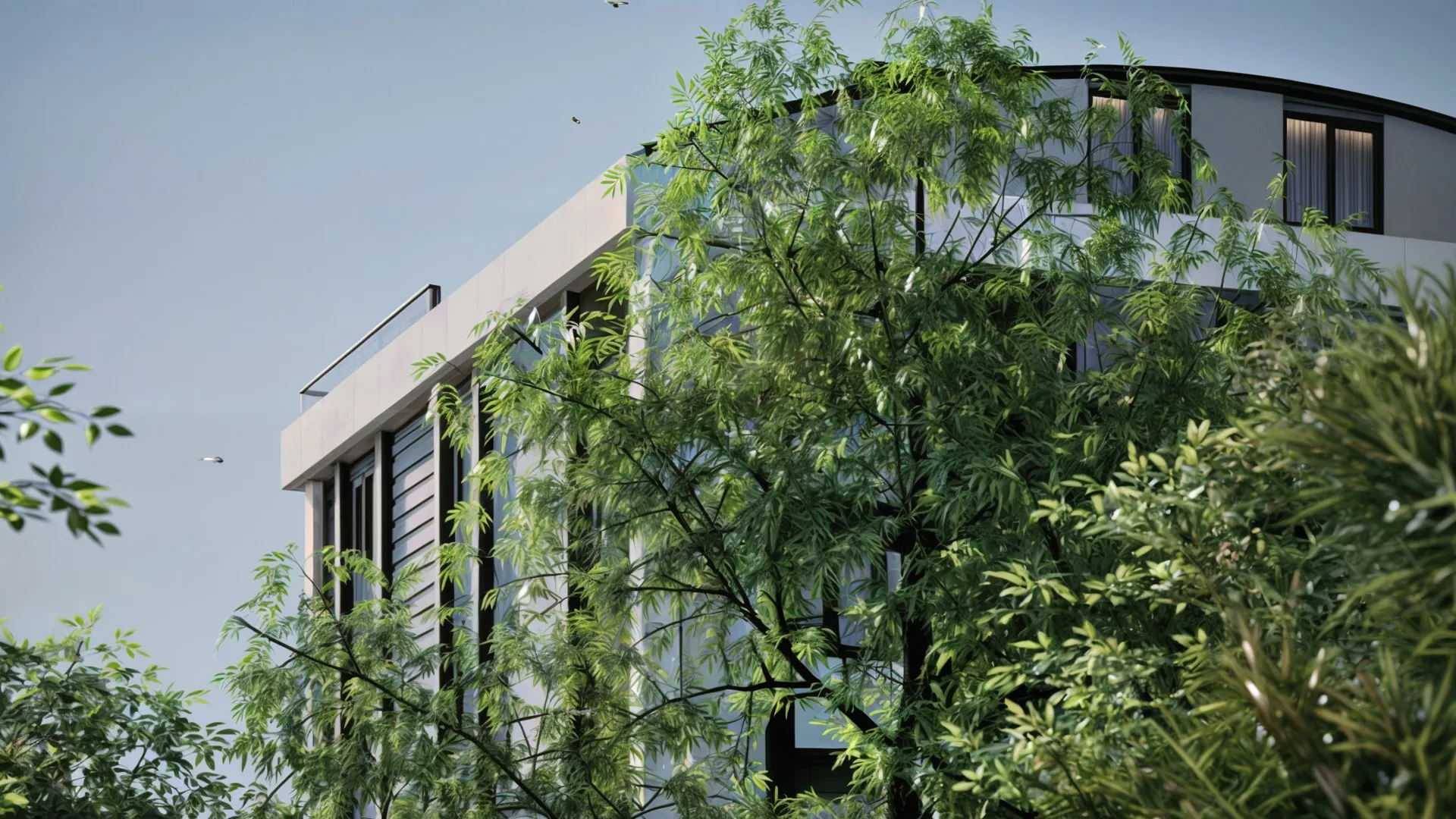 Roof system containing common areas and terraces.